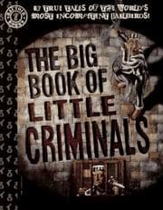 Tapa de The big book of little criminals
