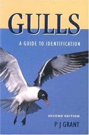 Tapa de Gulls