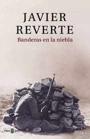 Tapa de Banderas en la niebla