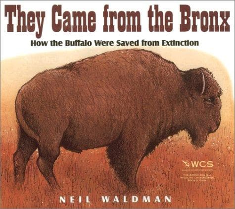 Tapa de They came from the Bronx
