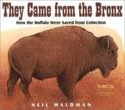 Tapa de They came from the Bronx