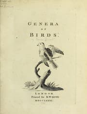 Tapa de Genera of birds