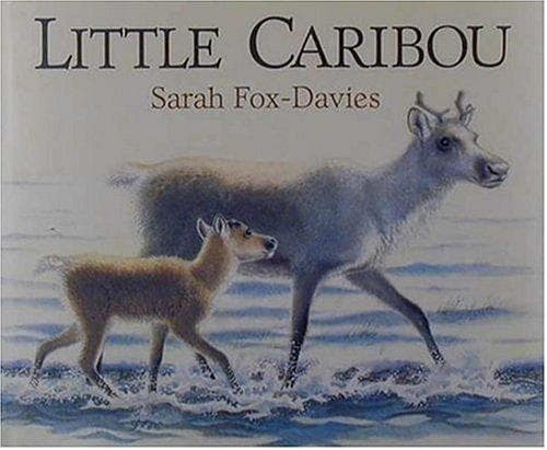 Tapa de Little Caribou