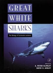 Tapa de Great White Sharks