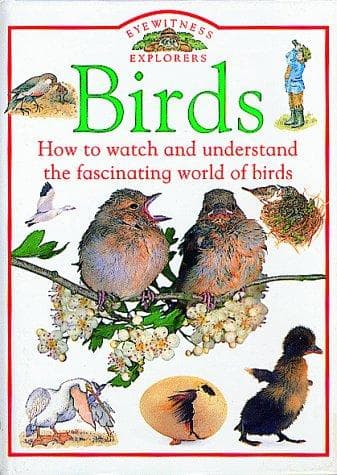 Tapa de Birds