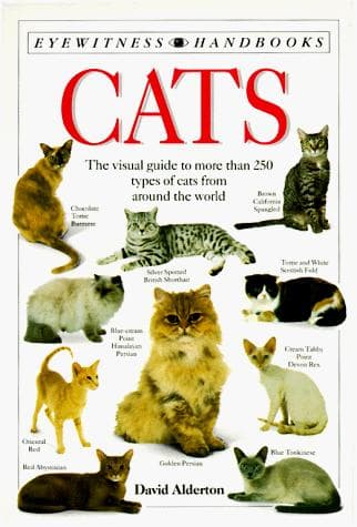 Tapa de Cats
