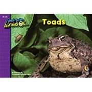 Tapa de I Used To Be Afraid Toads