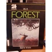 Tapa de 24 hours in a forest