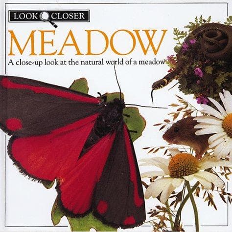 Tapa de Meadow