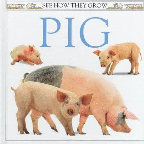 Tapa de See How They Grow