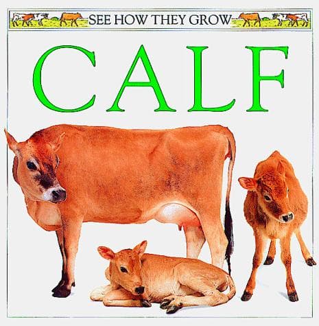 Tapa de See How They Grow