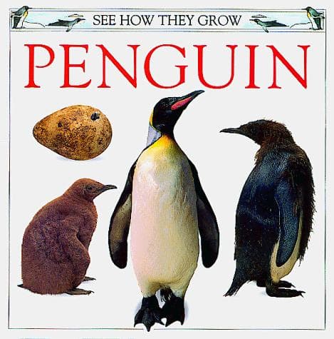 Tapa de See How They Grow