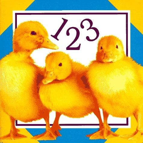 Tapa de 123