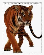 Tapa de Eyewitness natural world