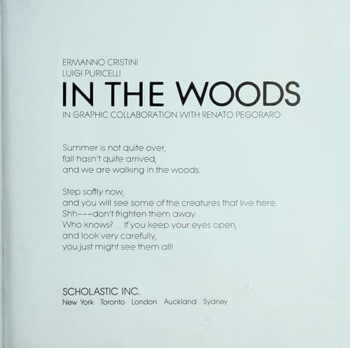Tapa de In the woods