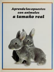 Tapa de Lifesize Animal Opposites Book