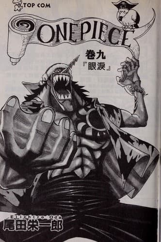 Tapa de One piece