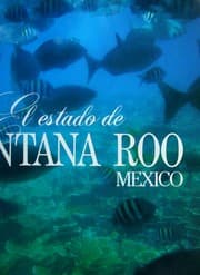 Tapa de El Estado de Quintana Roo