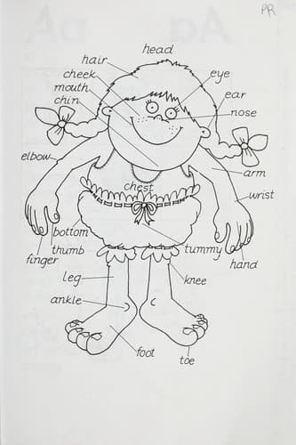 Tapa de Steck-Vaughn writing dictionary