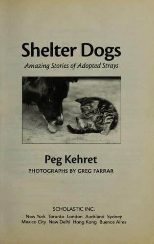 Tapa de Shelter dogs