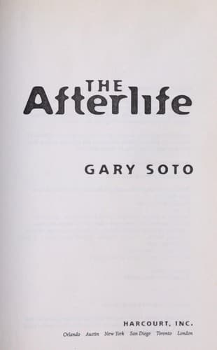 Tapa de The afterlife