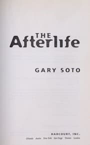 Tapa de The afterlife