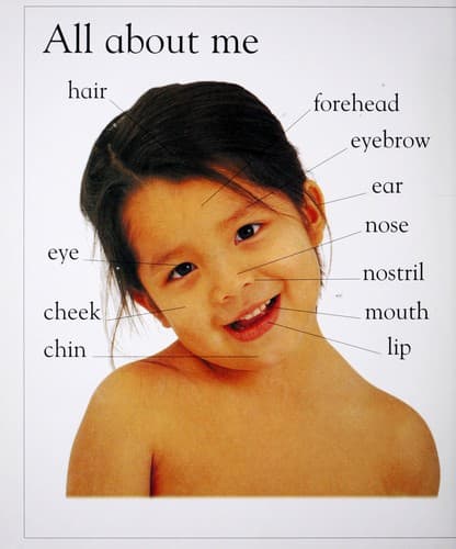 Tapa de My first word board book