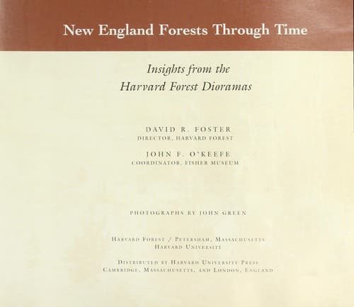 Tapa de New England forests through time