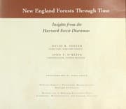 Tapa de New England forests through time