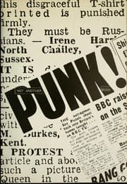 Tapa de Not another punk book!