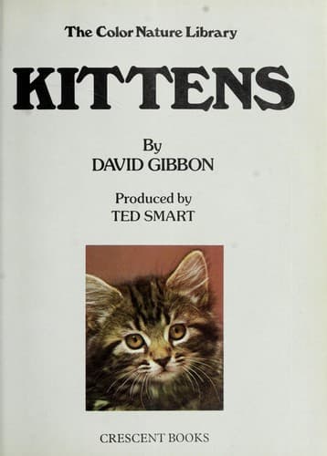 Tapa de Kittens