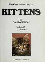 Tapa de Kittens