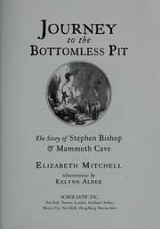 Tapa de Journey to the bottomless pit