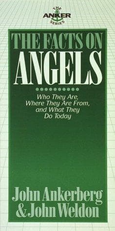 Tapa de The facts on angels