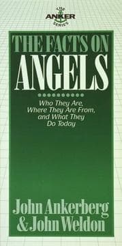 Tapa de The facts on angels