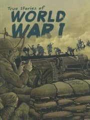 Tapa de True stories of World War I