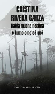 Tapa de Había mucha neblina o humo o no sé qué