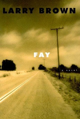 Tapa de Fay