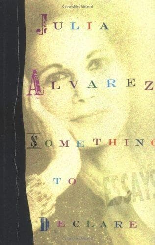 Tapa de Something to declare