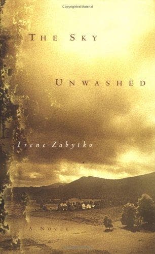 Tapa de The sky unwashed