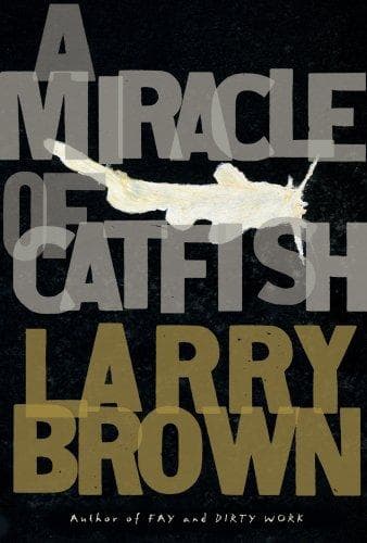 Tapa de A Miracle of Catfish