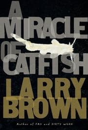 Tapa de A Miracle of Catfish