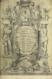 Tapa de Vlyssis Aldrovandi philosophi ac medici Bononiensis historiam naturalem in gymnasio Bononiensi profitentis, Ornithologiae, hoc est, De avibus historiae libri XII ...