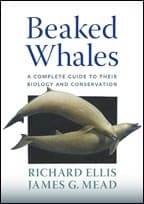 Tapa de Beaked whales