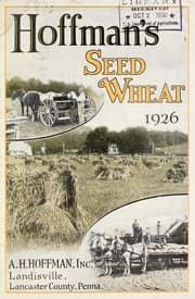 Tapa de Hoffman's seed wheat