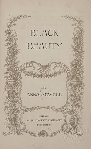 Tapa de Black Beauty