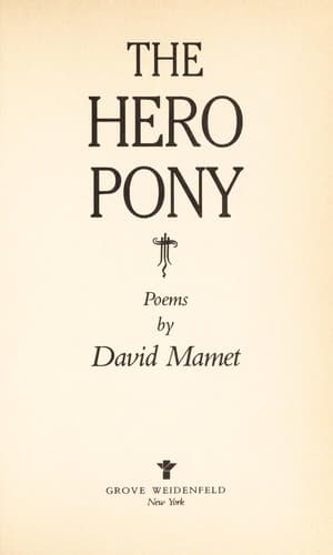 Tapa de The hero pony