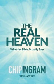 Tapa de The Real Heaven