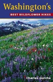 Tapa de Washington's Best Wildflower Hikes