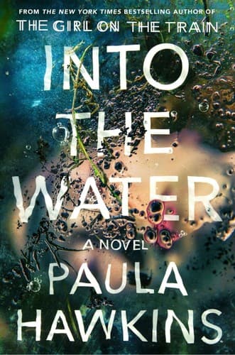 Tapa de Into the Water